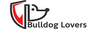 poccik.com