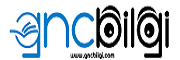 gncbilgi.com