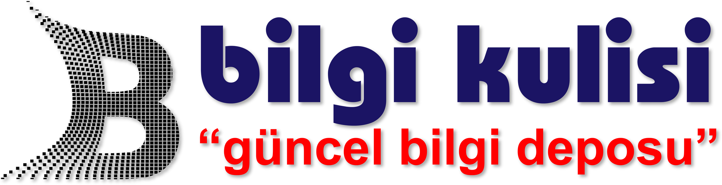 bilgikulisi.com