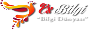 exbilgi.com