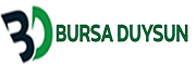bursaduysun.com