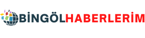 bingolhaberlerim.com.tr