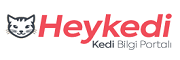 heykedi.com