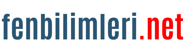 fenbilimleri.net