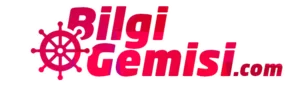 bilgigemisi.com