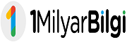 1milyarbilgi.com