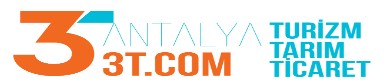 antalya3t.com