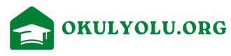 okulyolu.org