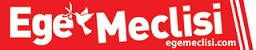 egemeclisi.com