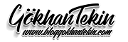 bloggokhantekin.com