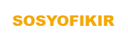 sosyofikir.com