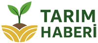 tarimhaberi.com