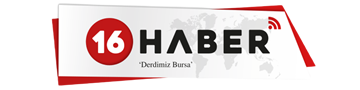 16haber.com
