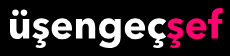usengecsef.com