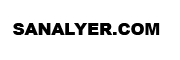 sanalyer.com