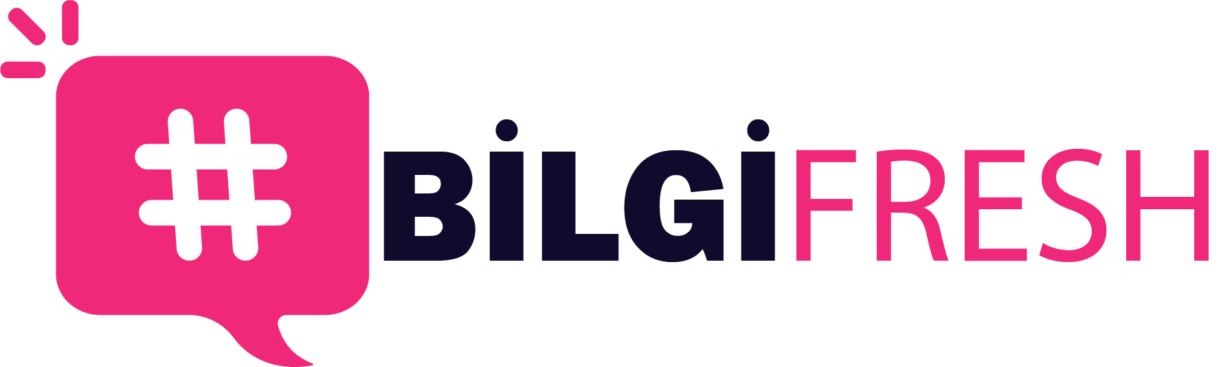 bilgifresh.com