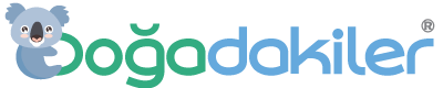 dogadakiler.com