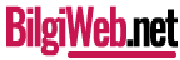 bilgiweb.net
