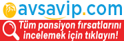 avsavip.com
