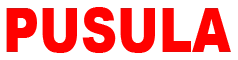 pusulagazetesi.com.tr