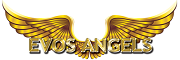 evosangels.com