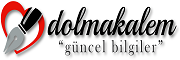 dolmakalem.net