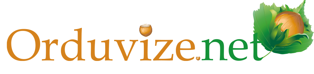 orduvize.net