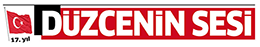 duzceninsesi.com.tr