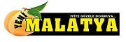 yenimalatya.com.tr
