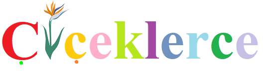 ciceklerce.com
