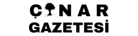 cinargazetesi.com