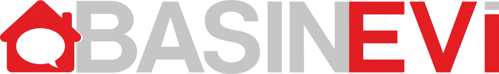basinevi.com