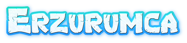 erzurumca.com