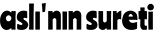 aslininsureti.com