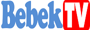 bebektelevizyonu.com