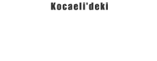 sonkalekocaeli.com