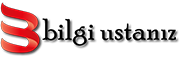 bilgiustaniz.com