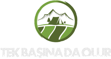 tekbasinadaolur.com