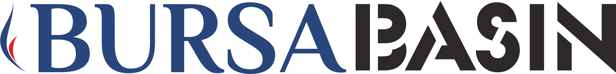 bursabasin.com