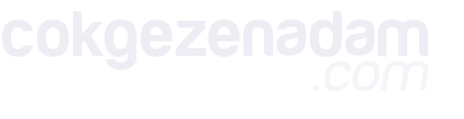 cokgezenadam.com