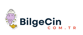 bilgecin.com.tr