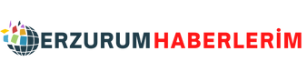 erzurumhaberlerim.com.tr