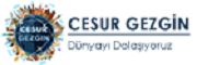 cesurgezgin.com