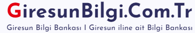 giresunbilgi.com.tr