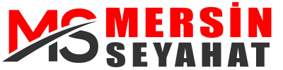 mersinseyahat.com