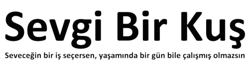 sevgibirkus.com.tr