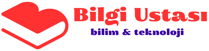 bilgiustasi.com.tr
