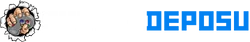 oyuncudeposu.com